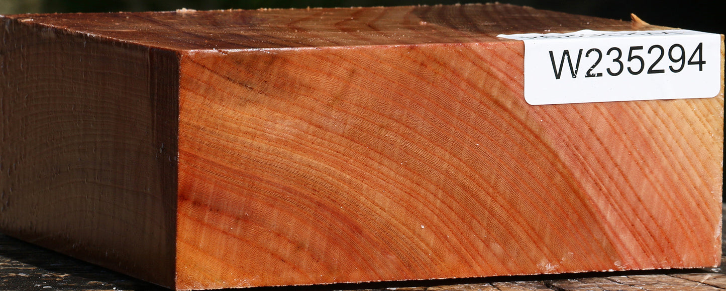 Zelkova Bowl Blank