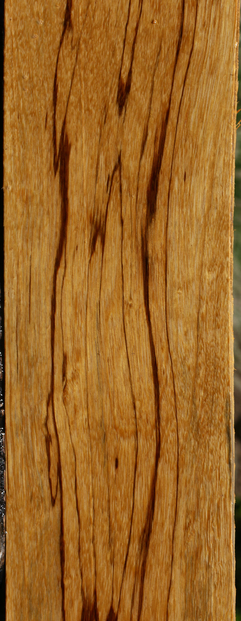 Figured Marblewood Lumber