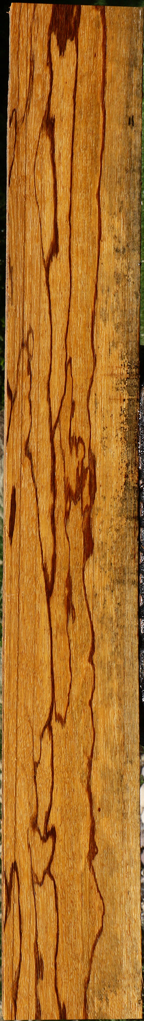 Extra Fancy Marblewood Lumber