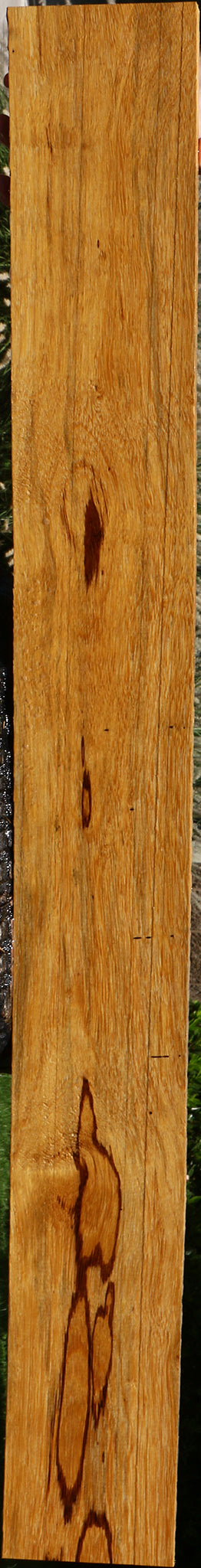 Figured Marblewood Lumber