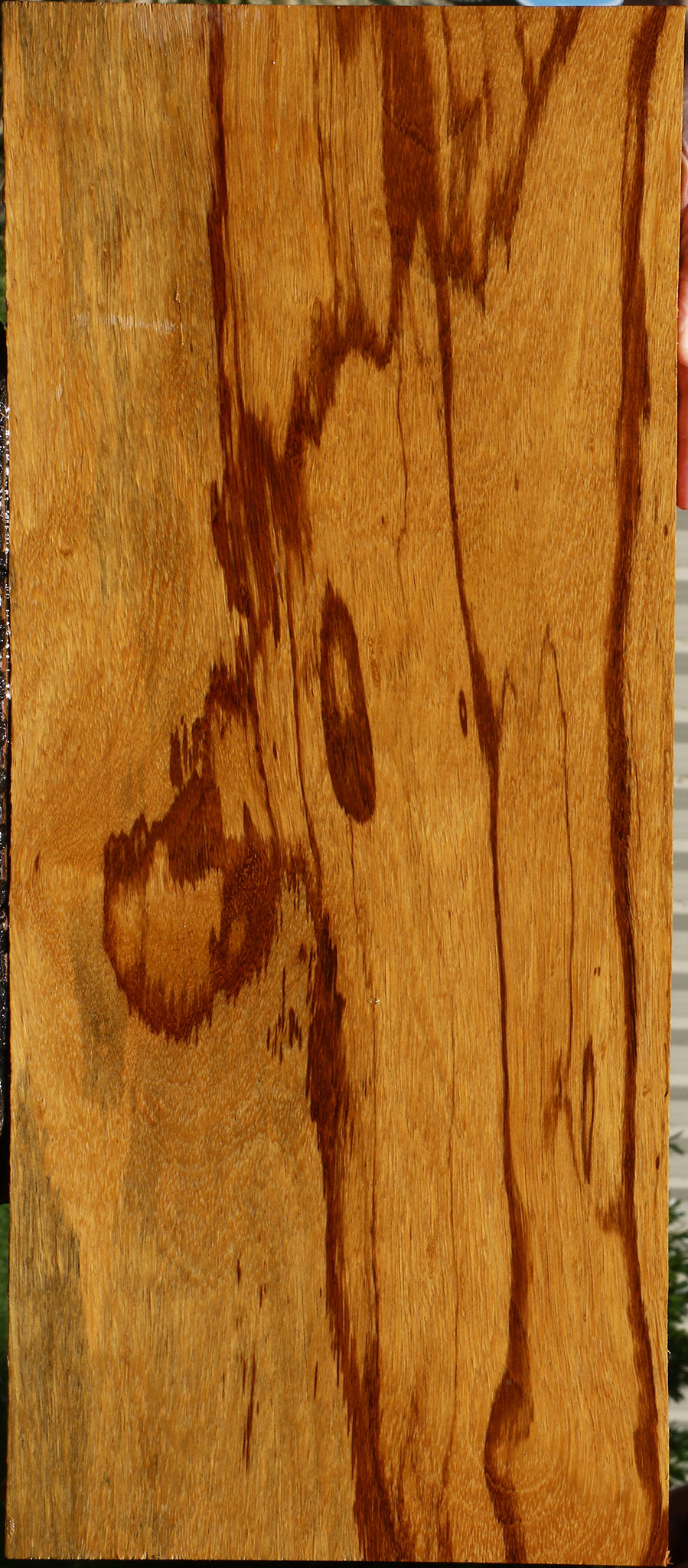 Extra Fancy Marblewood Instrument Lumber