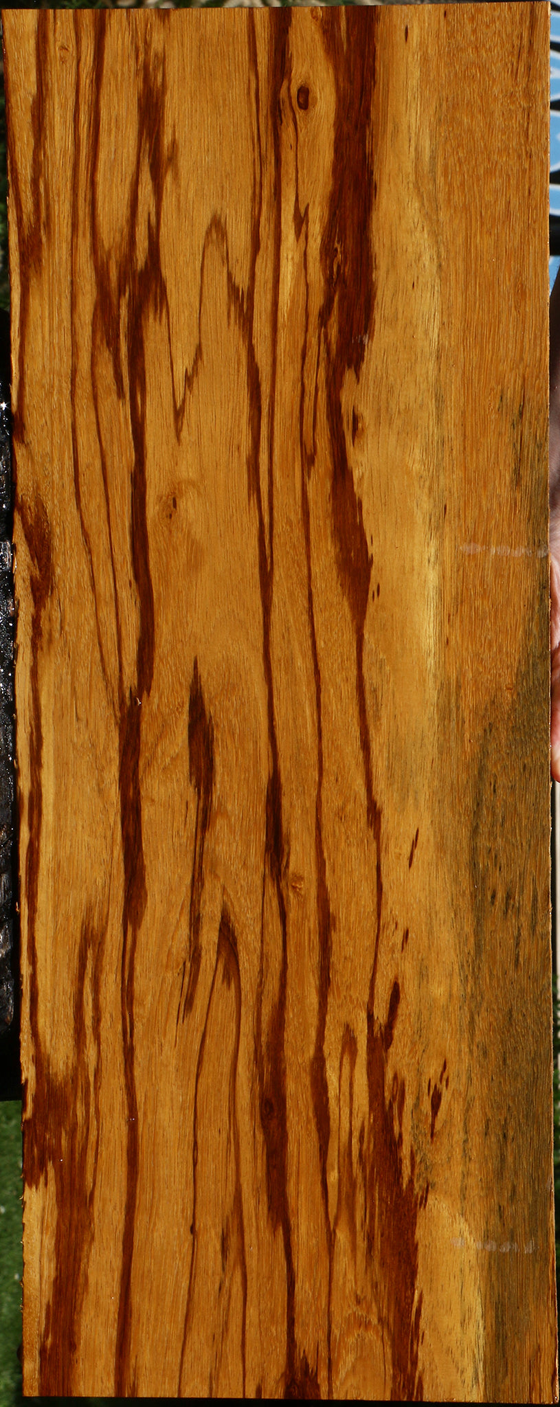 Extra Fancy Marblewood Instrument Lumber
