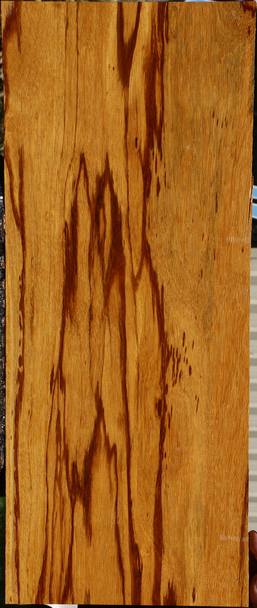 Marblewood Instrument Lumber