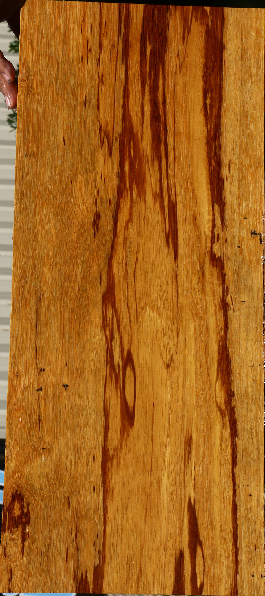 Marblewood Instrument Lumber