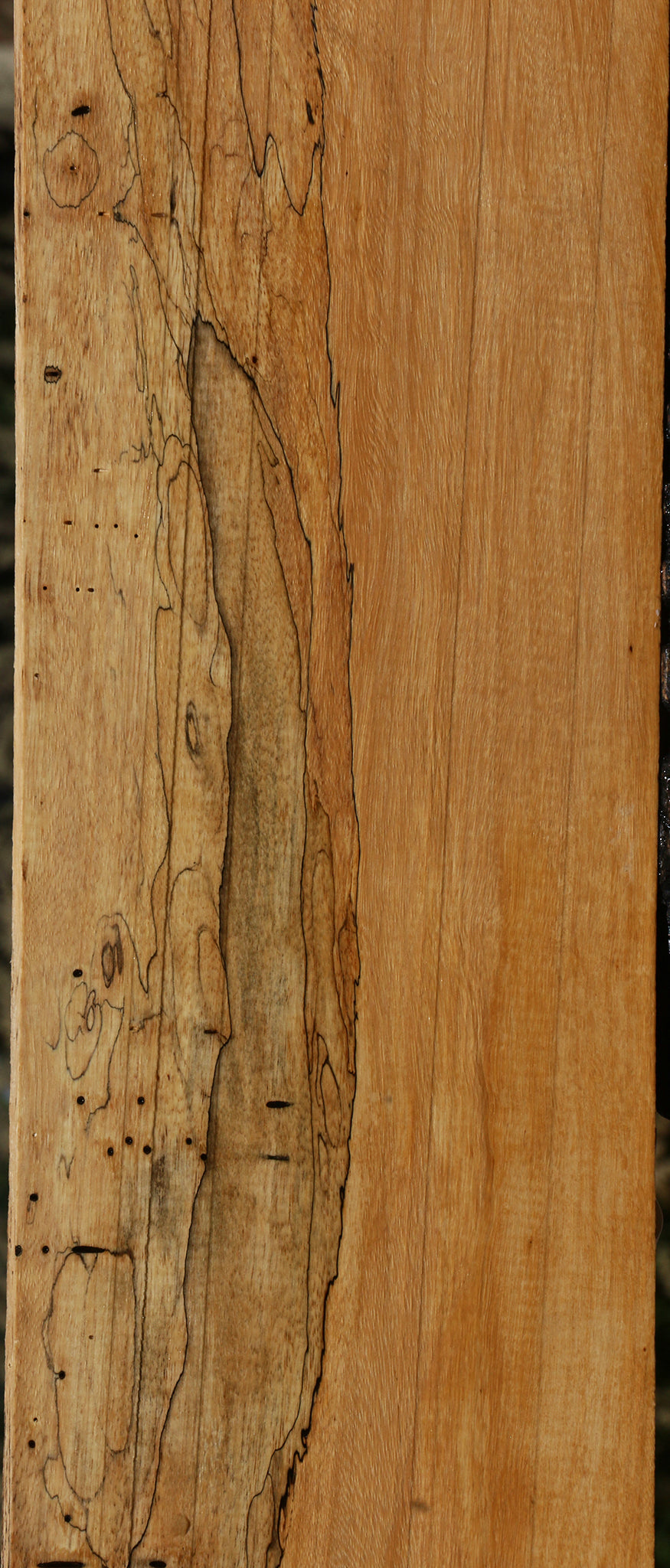 Figured Spalted Tamarind Lumber