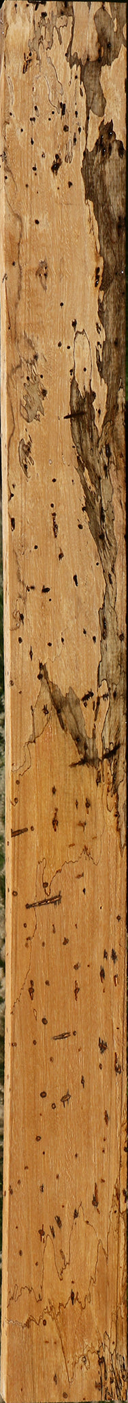 Figured Spalted Tamarind Lumber