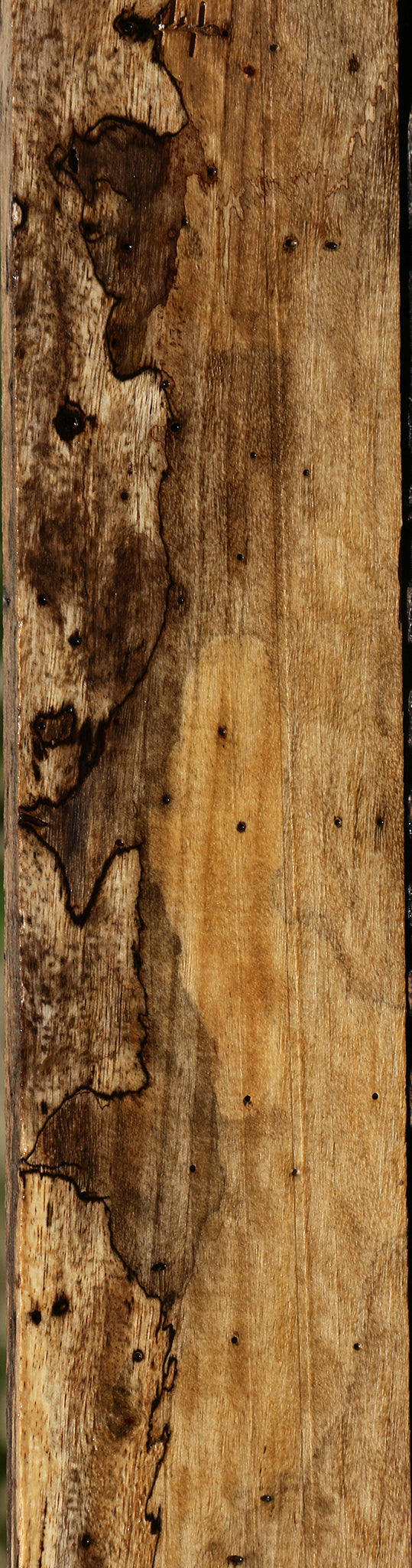 Figured Spalted Tamarind Lumber