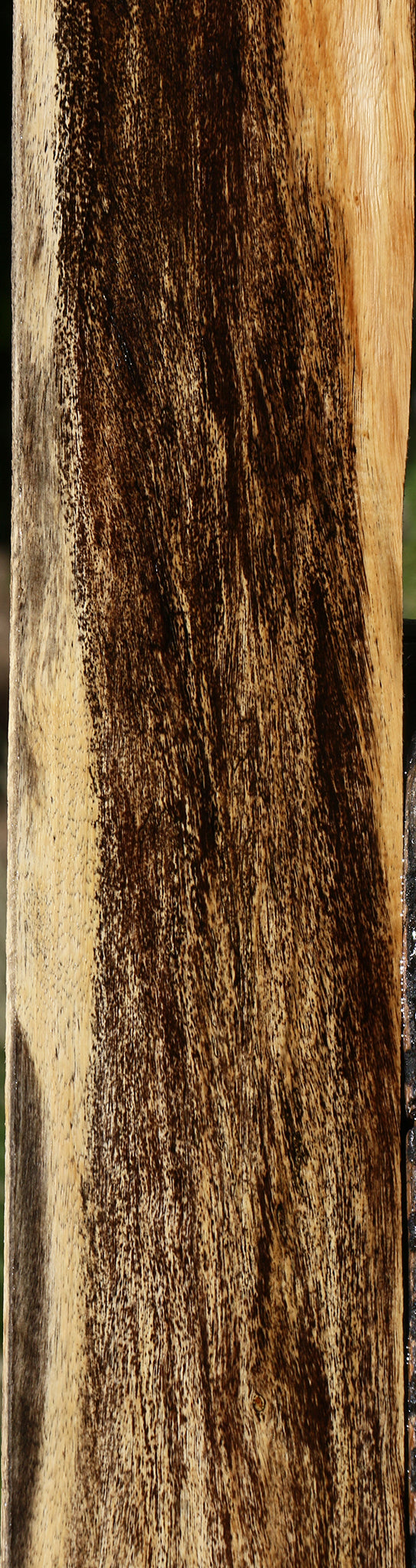 Spalted Tamarind Lumber
