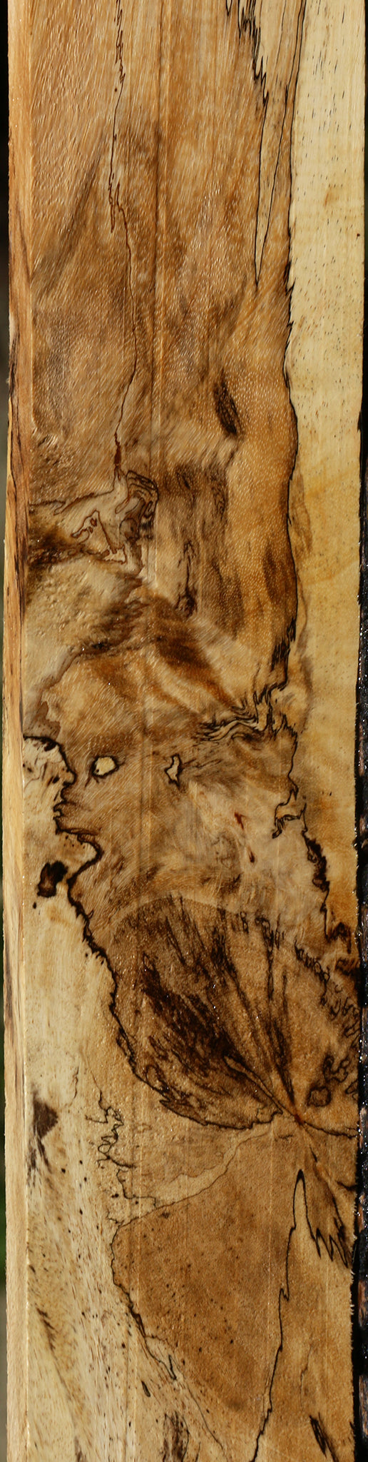 Extra Fancy Spalted Tamarind Lumber