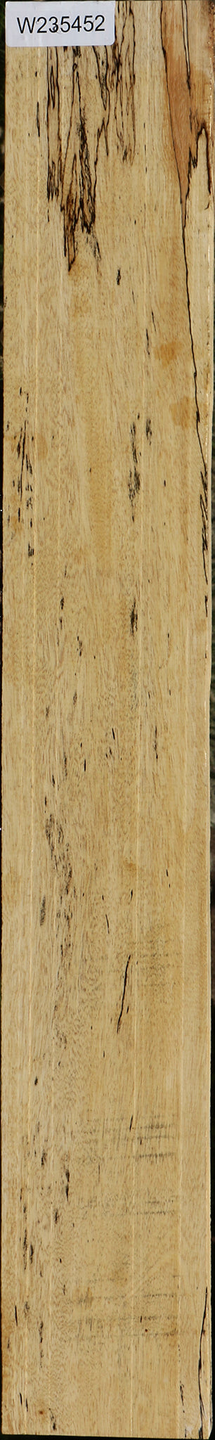 Spalted Tamarind Lumber