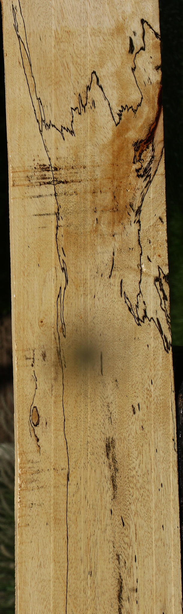 Spalted Tamarind Lumber