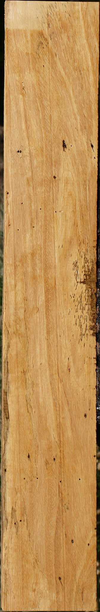 Spalted Tamarind Lumber