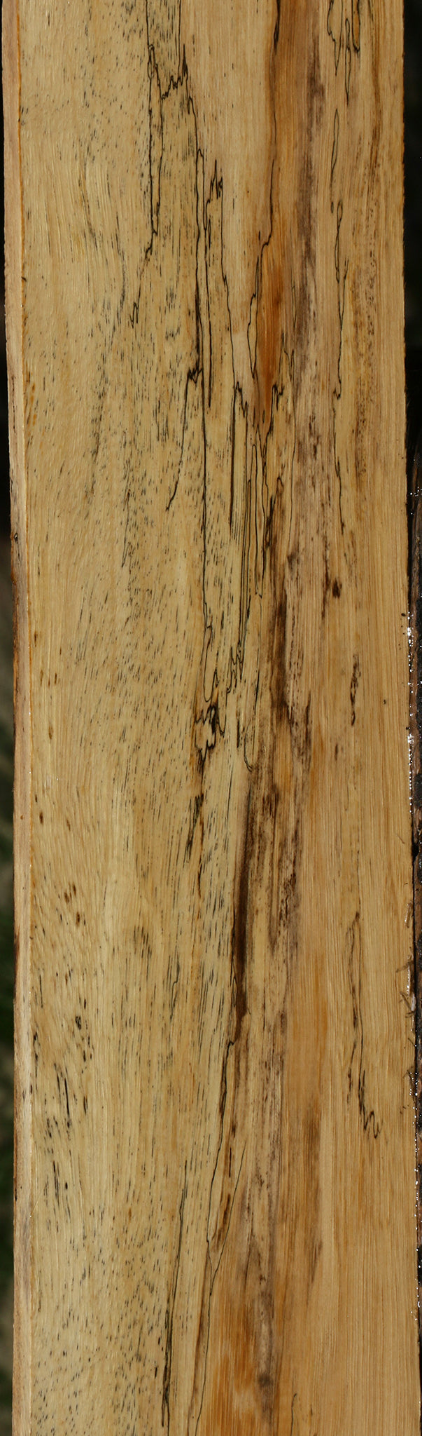 Figured Spalted Tamarind Lumber