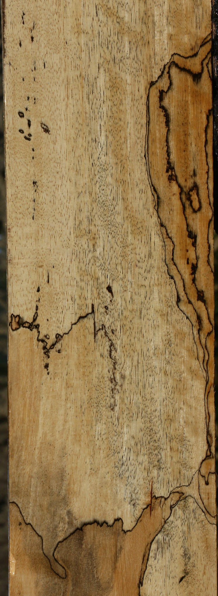 Figured Spalted Tamarind Lumber