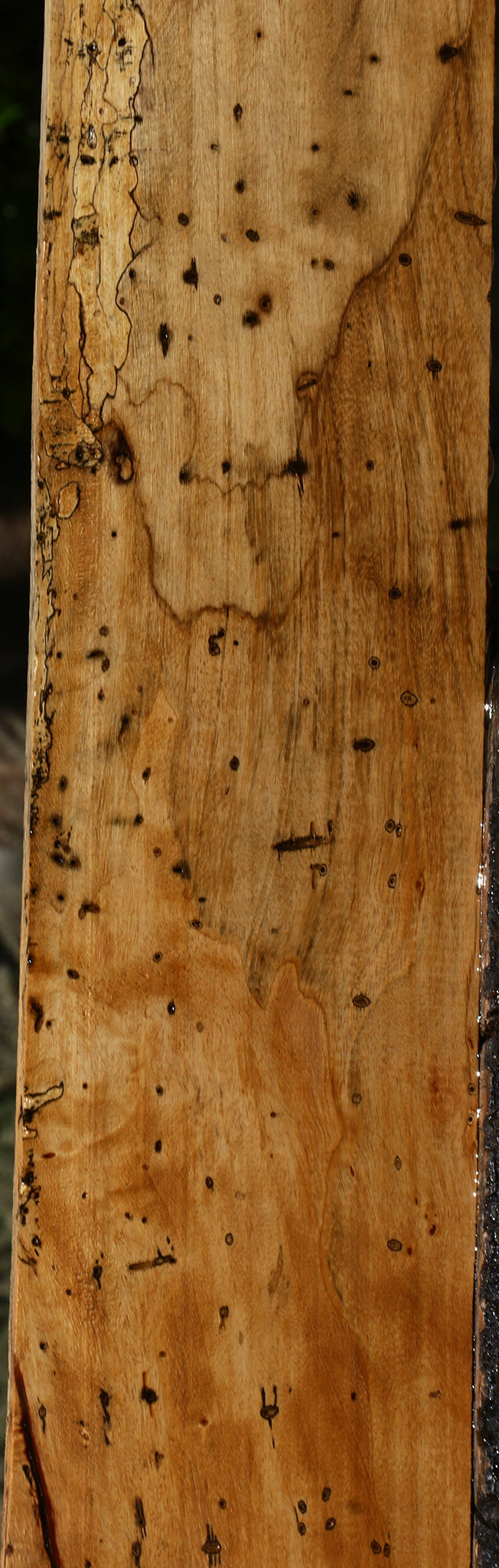 Figured Spalted Tamarind Lumber