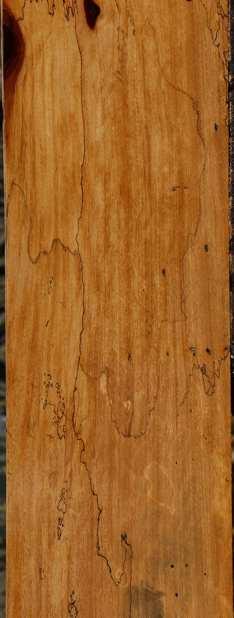 Spalted Tamarind Lumber