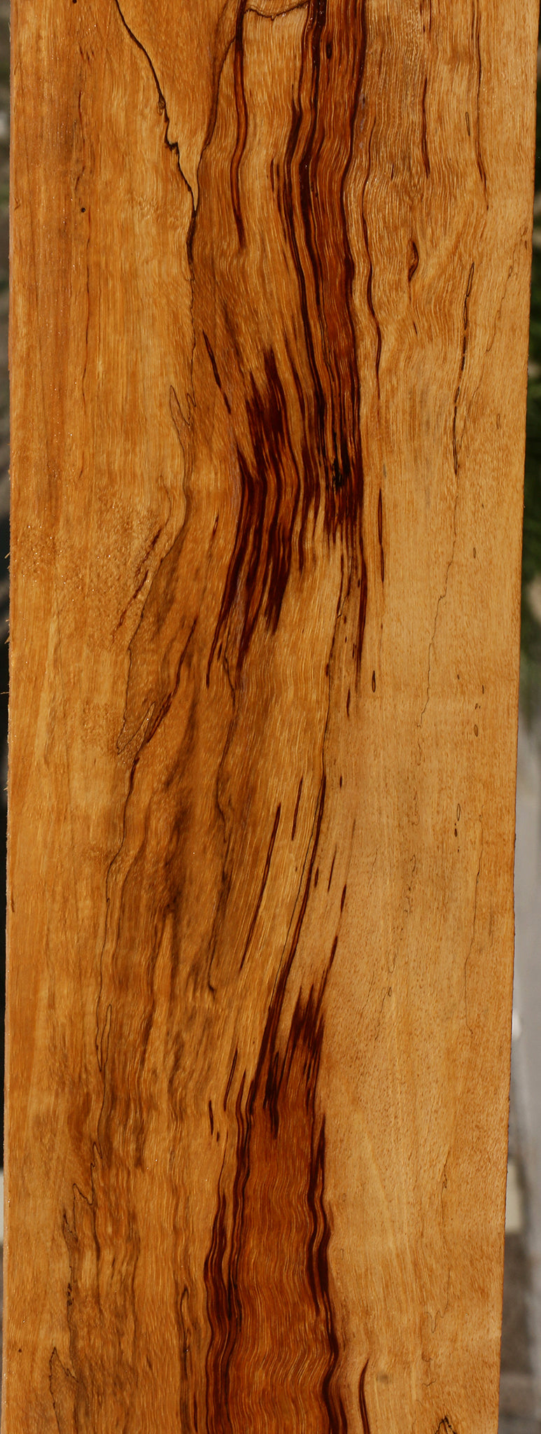 Extra Fancy Spalted Tamarind Lumber