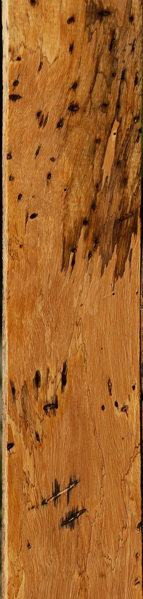 Spalted Tamarind Lumber