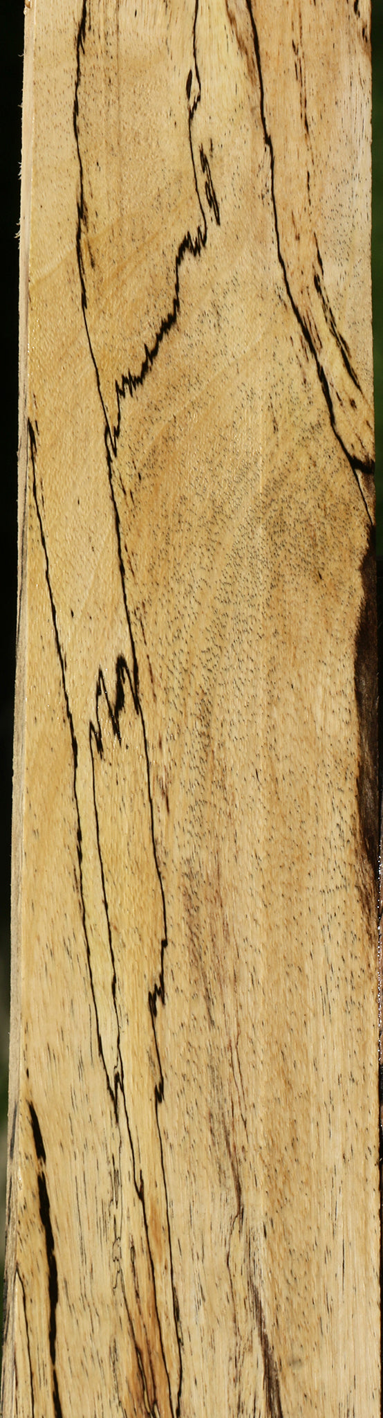 Spalted Tamarind Lumber