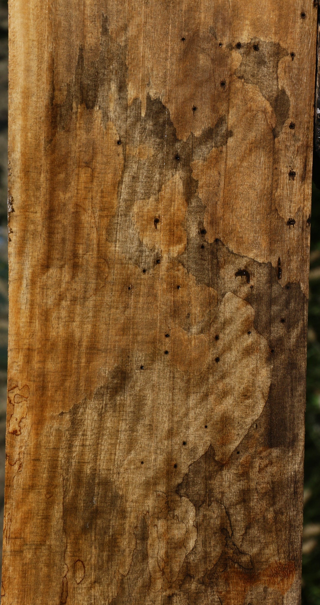 Figured Spalted Tamarind Lumber