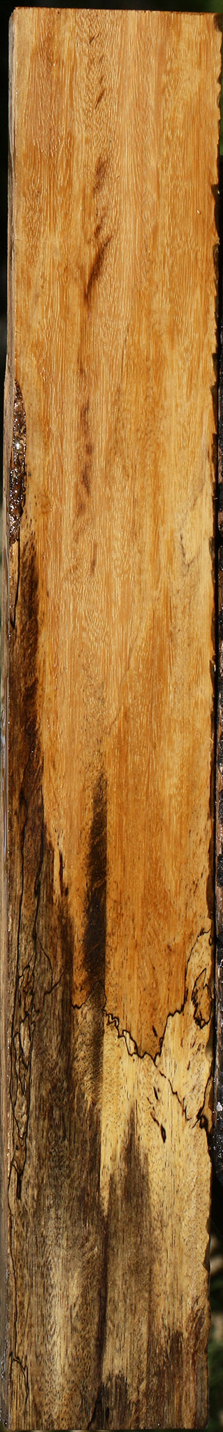 Figured Spalted Tamarind Lumber