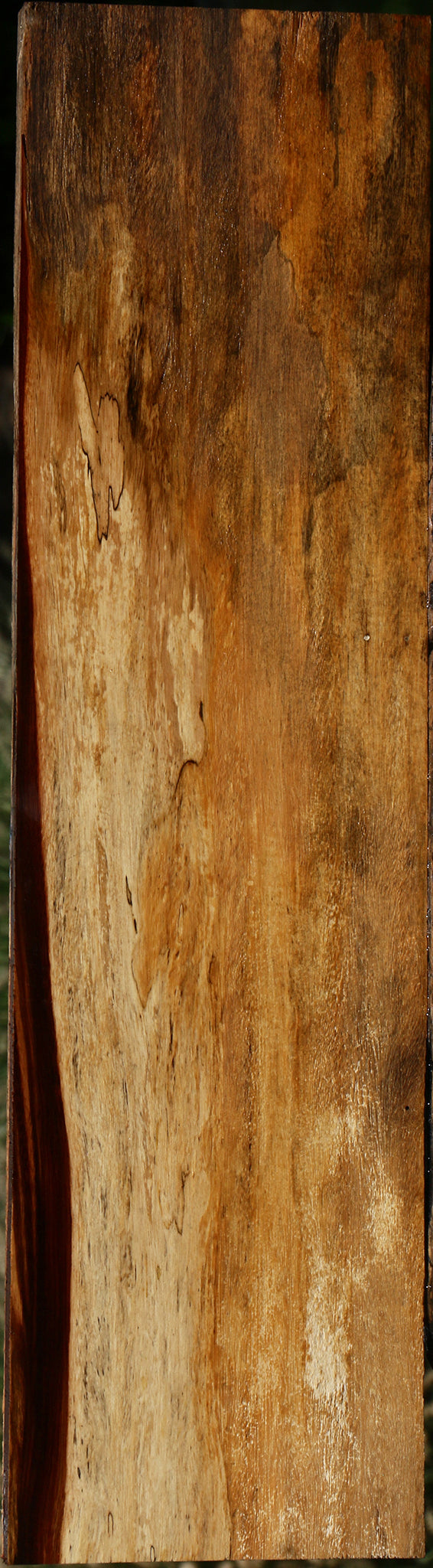 Spalted Tamarind Lumber
