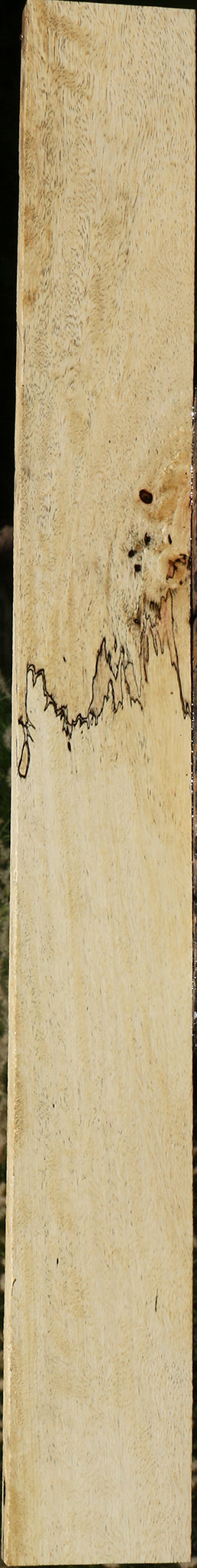 Spalted Tamarind Lumber