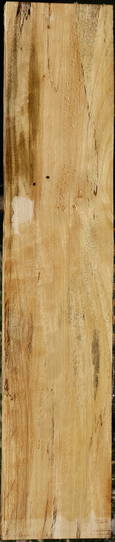 Figured Spalted Tamarind Lumber