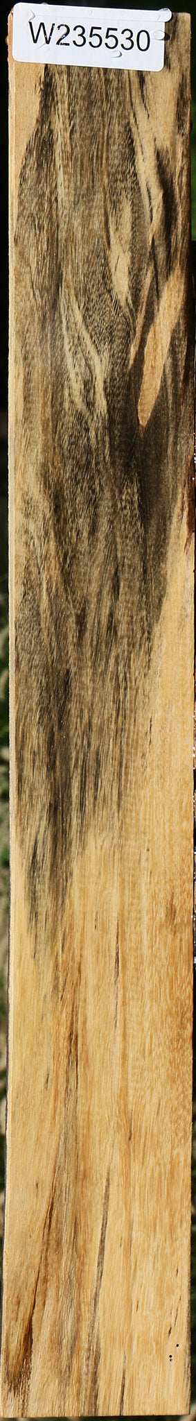 Spalted Tamarind Lumber