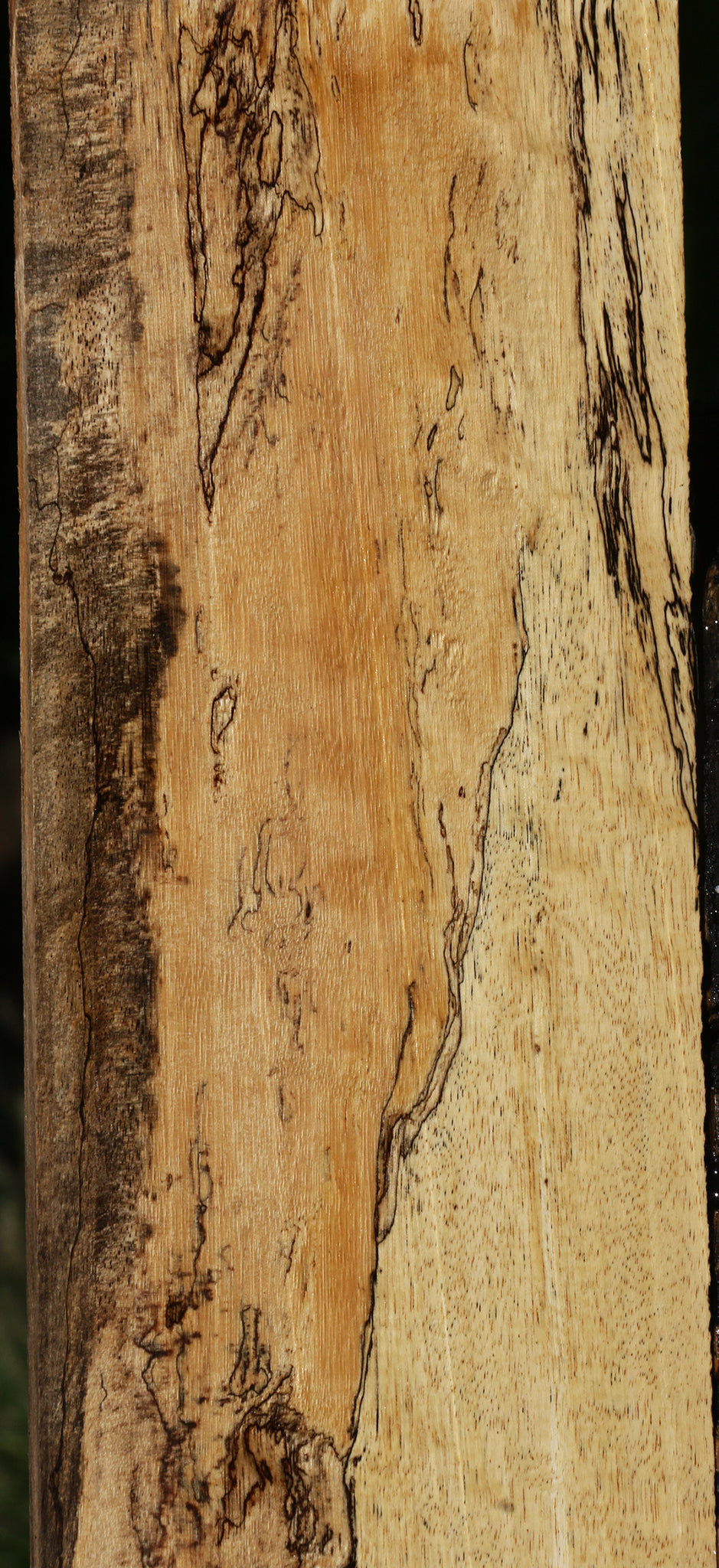 Spalted Tamarind Lumber
