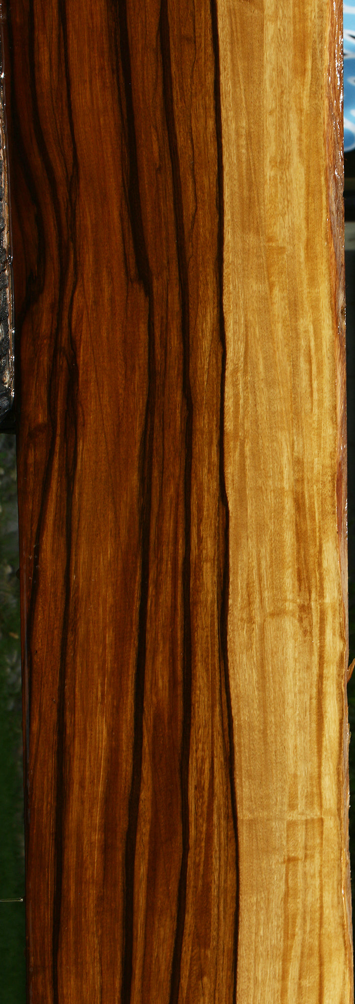 Extra Fancy Quartersawn Branquilho Instrument Lumber