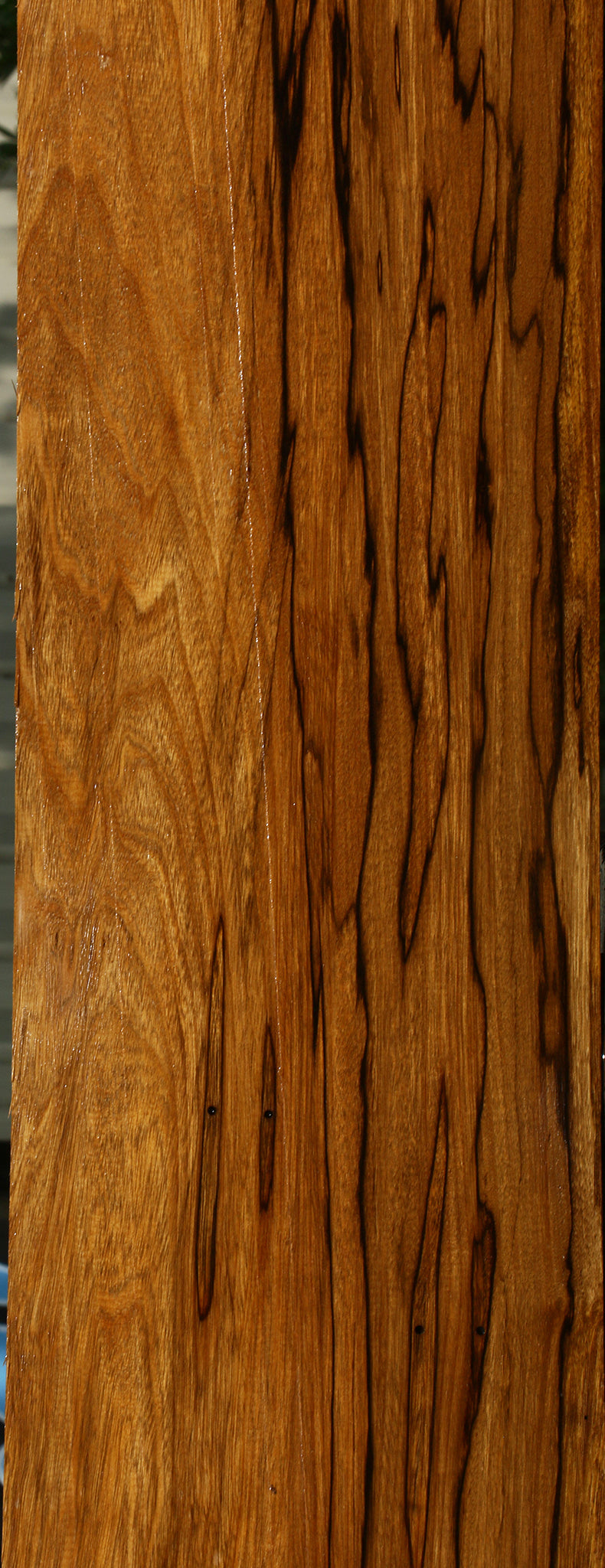 Extra Fancy Branquilho Lumber