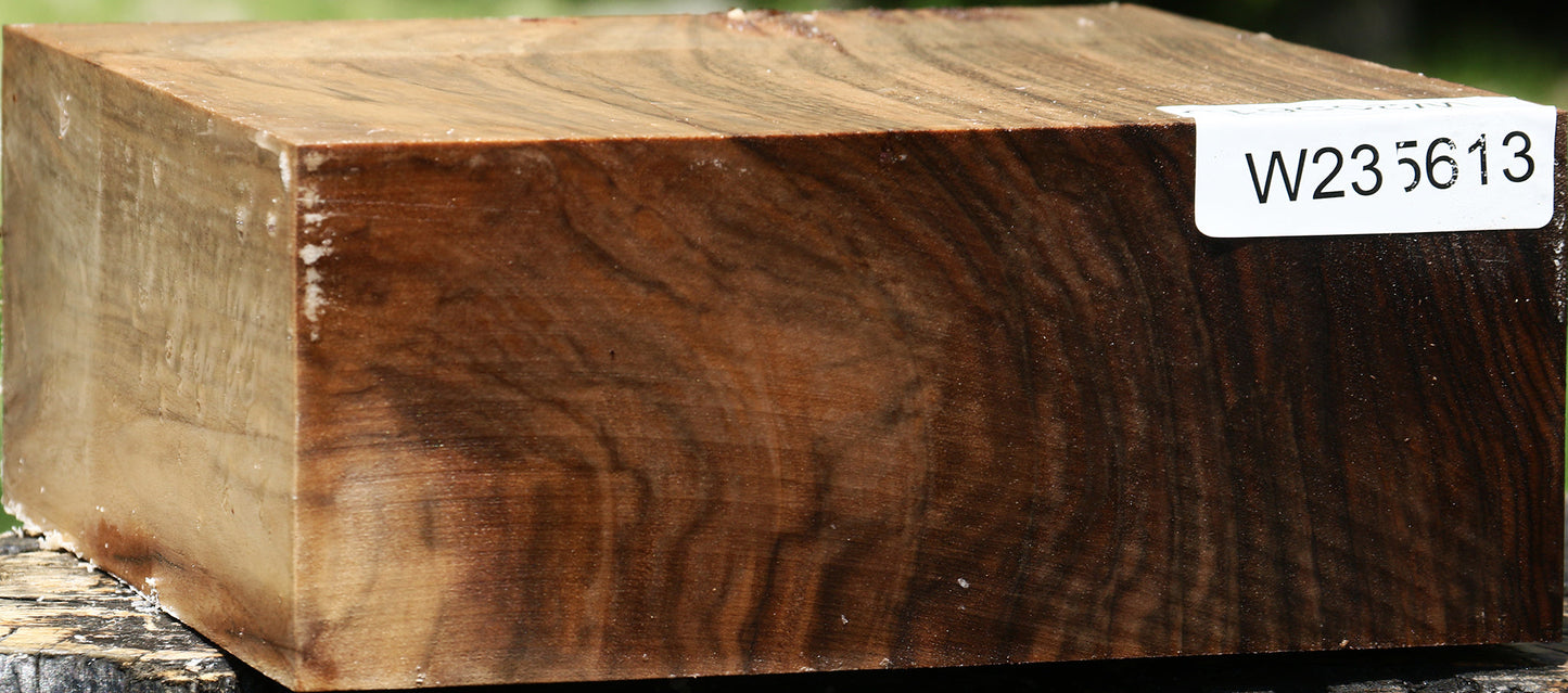 Extra Fancy English Walnut Bowl Blank