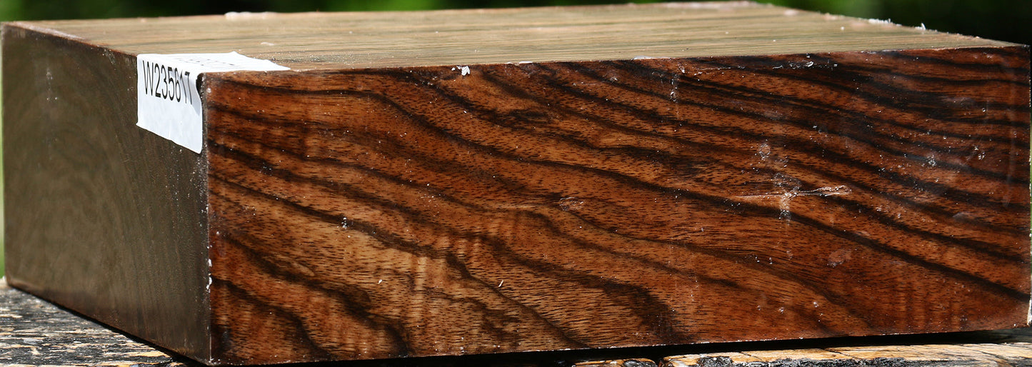 Extra Fancy English Walnut Bowl Blank