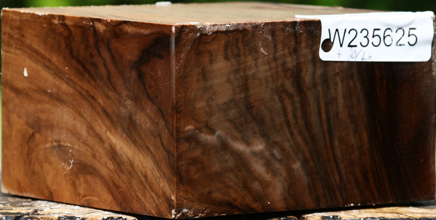 Figured English Walnut Bowl Blank