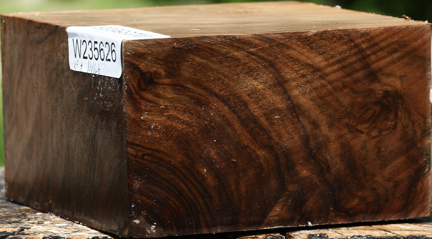 Figured English Walnut Bowl Blank