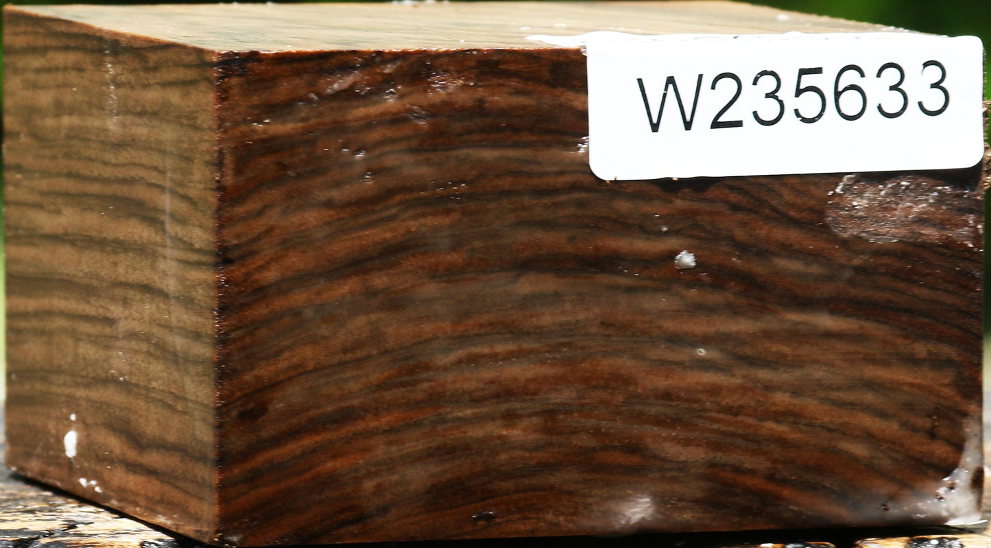 Extra Fancy English Walnut Bowl Blank