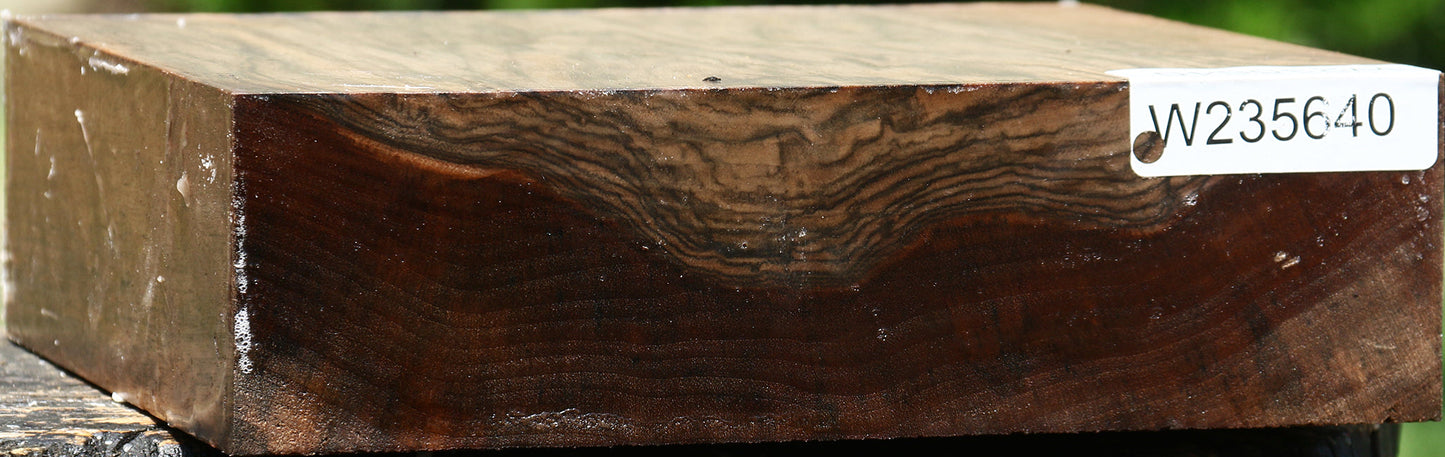 Figured English Walnut Bowl Blank