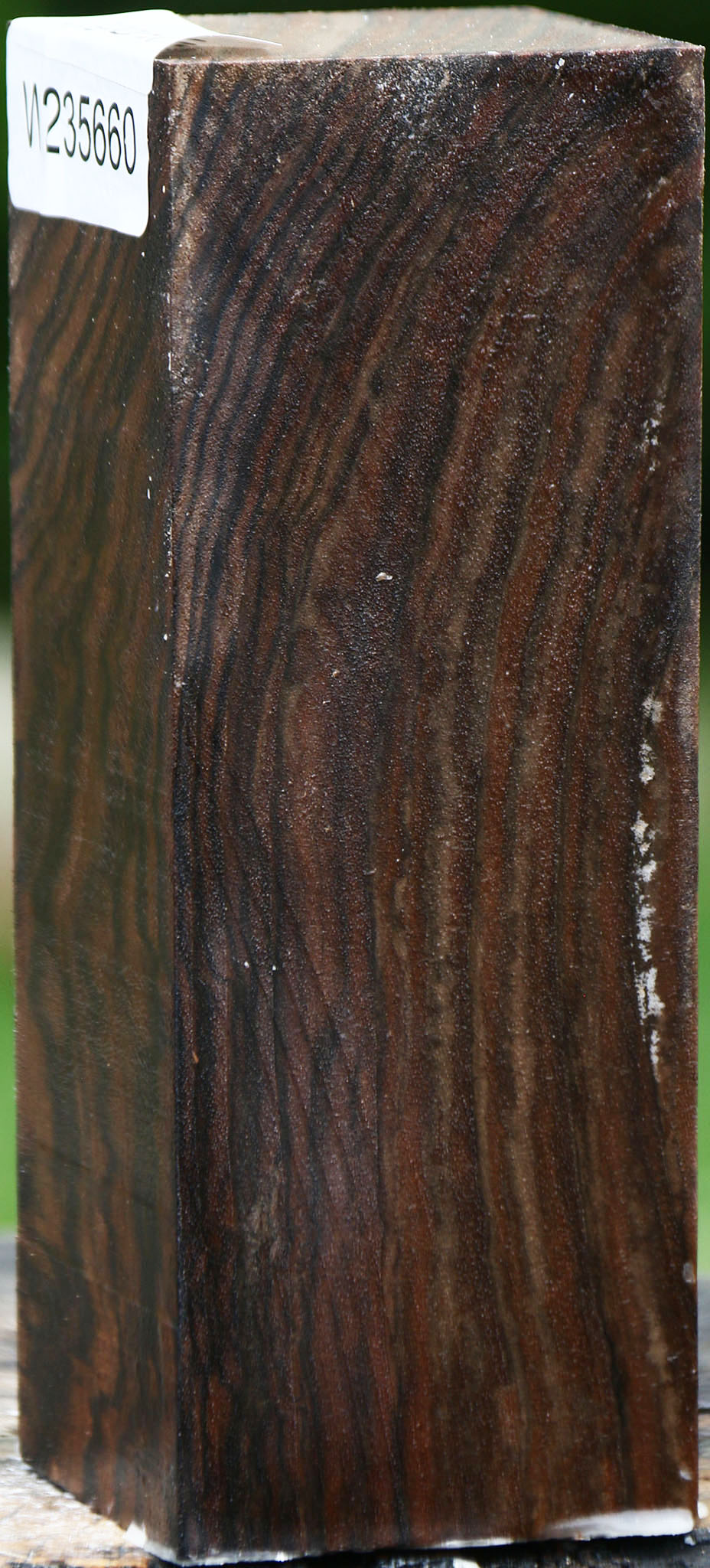 Extra Fancy English Walnut Turning Square