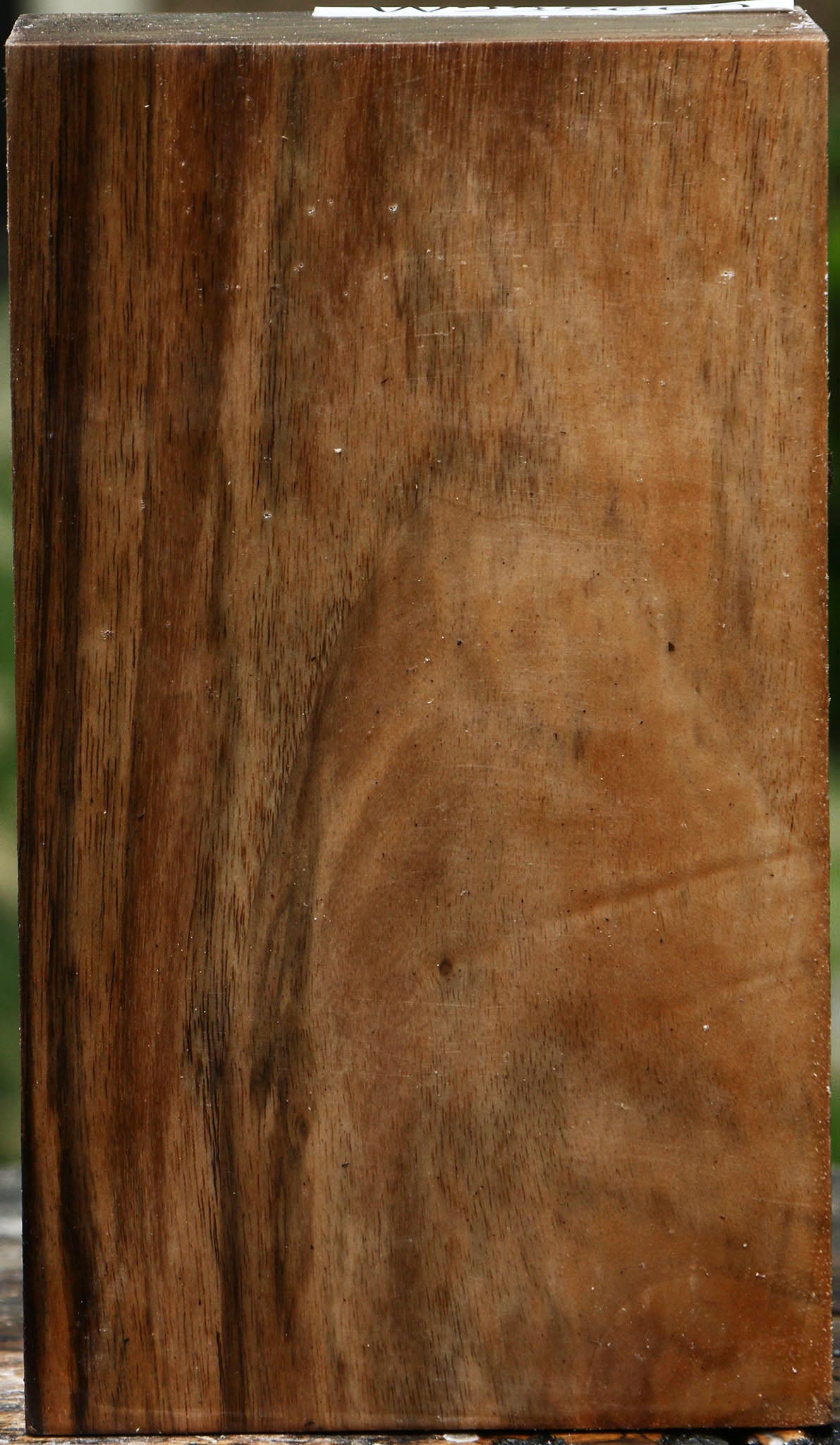 Figured English Walnut Turning Blank