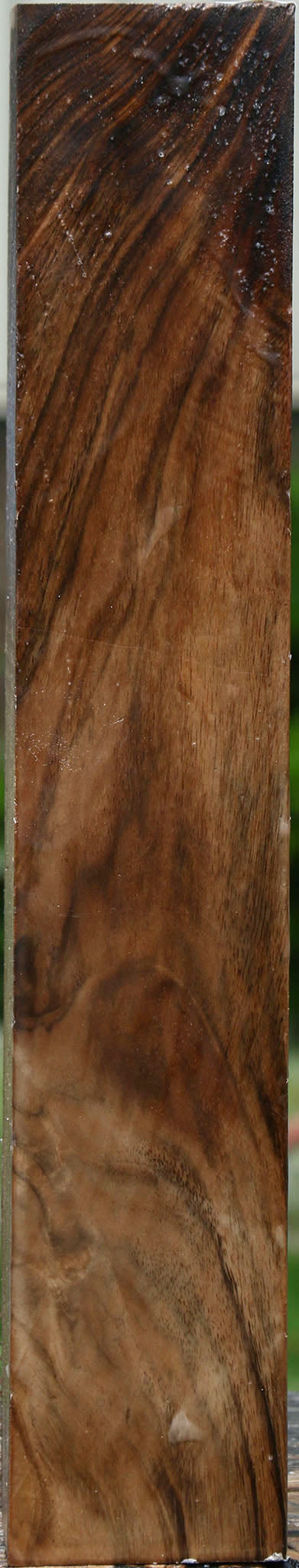 Extra Fancy English Walnut Forend