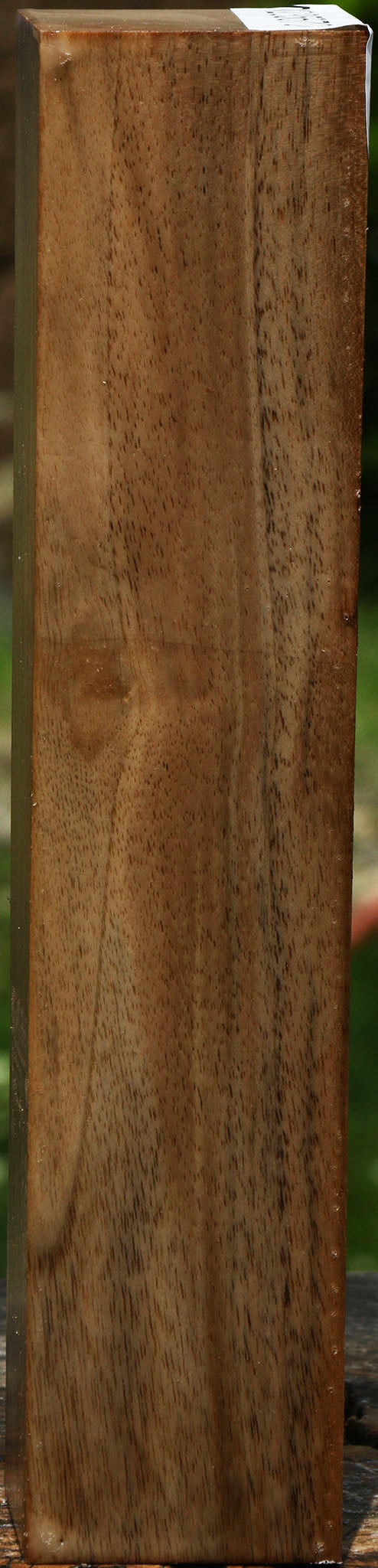 English Walnut Turning Square