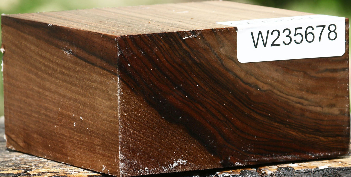 Extra Fancy English Walnut Bowl Blank