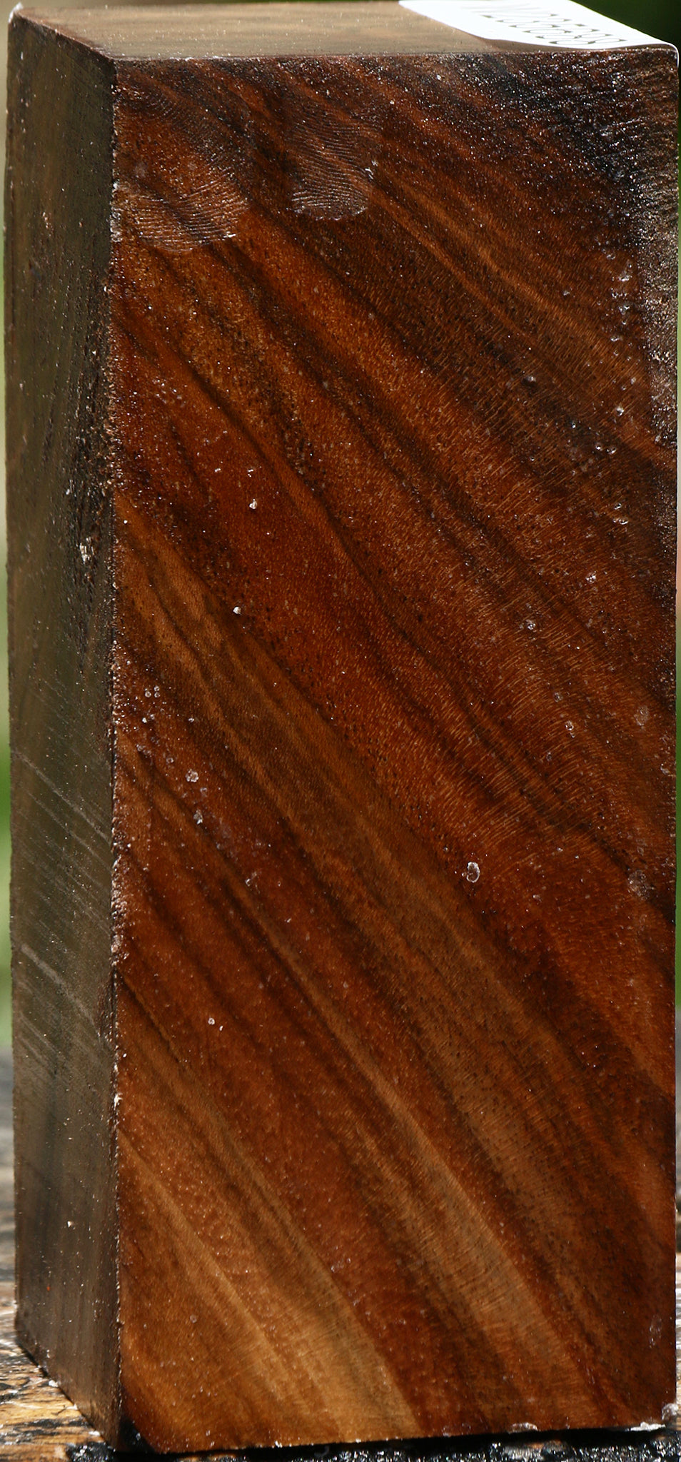 Extra Fancy English Walnut Turning Blank