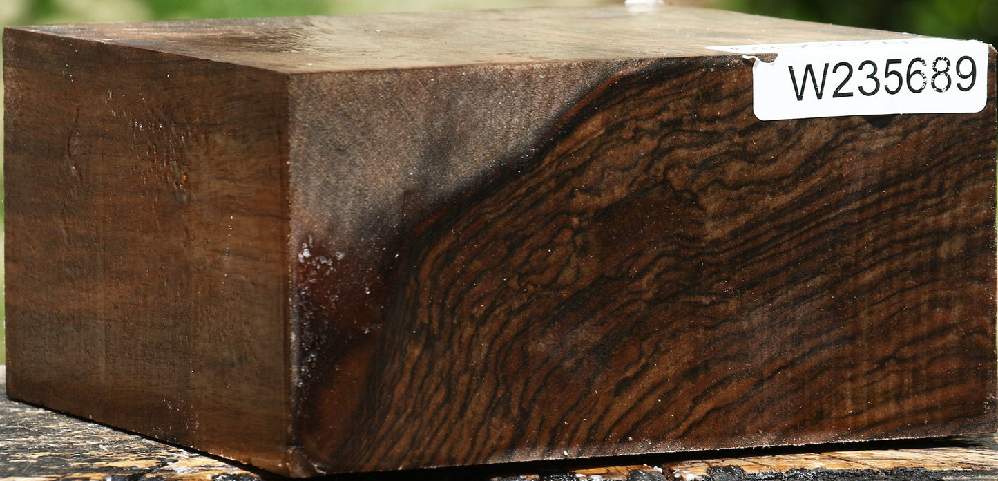 Exhibition English Walnut Bowl Blank