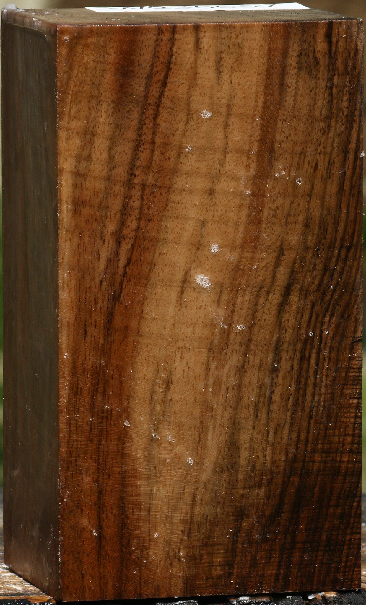 Figured English Walnut Turning Blank