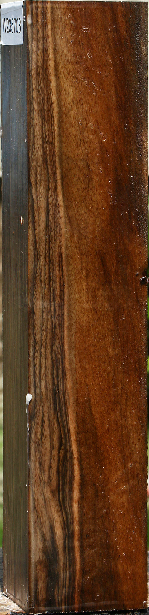 English Walnut Forend