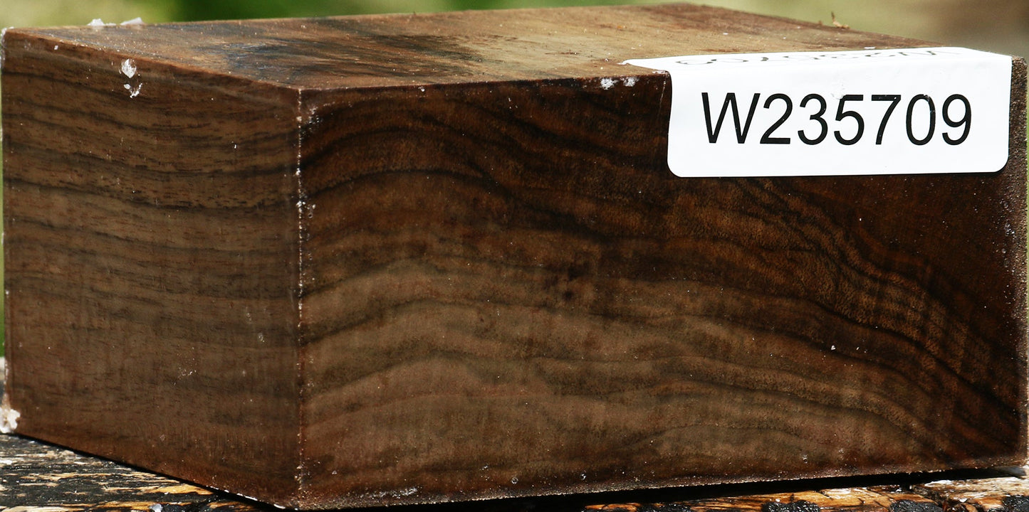 Extra Fancy English Walnut Bowl Blank