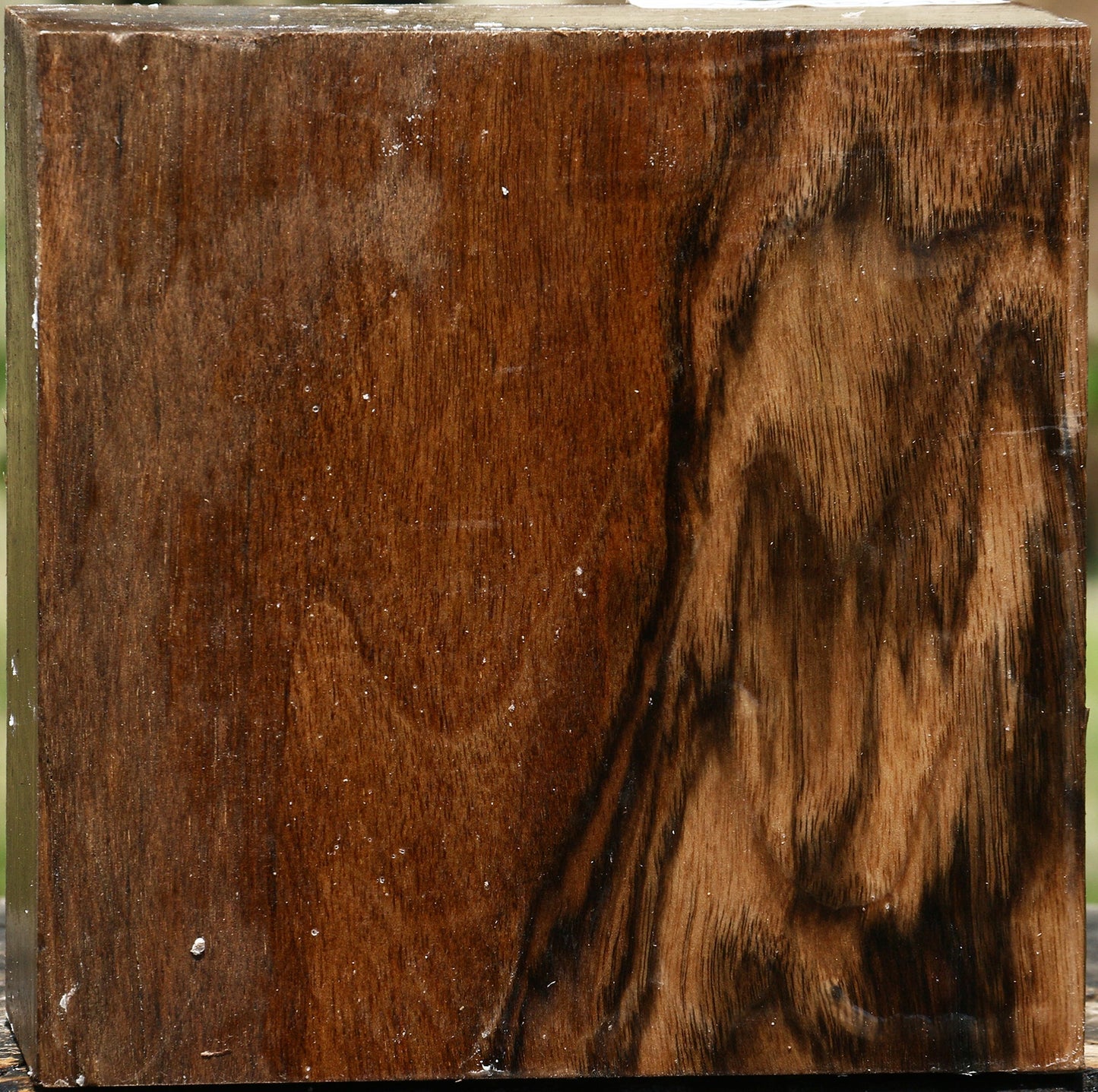 Figured English Walnut Bowl Blank