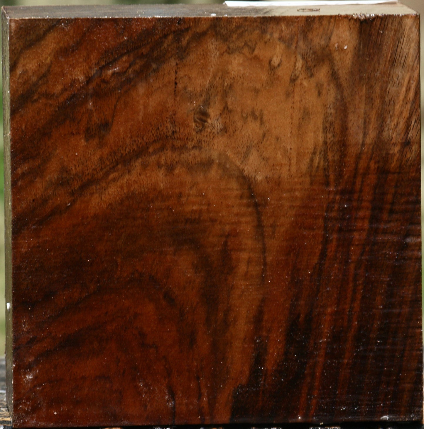 Figured English Walnut Bowl Blank